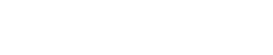 LEDIT